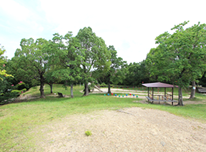 奥池公園