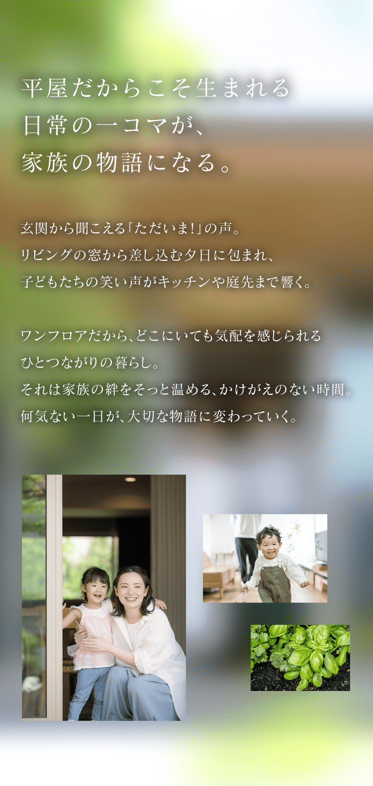 平屋だからこそ生まれる日常の一コマが、家族の物語になる。